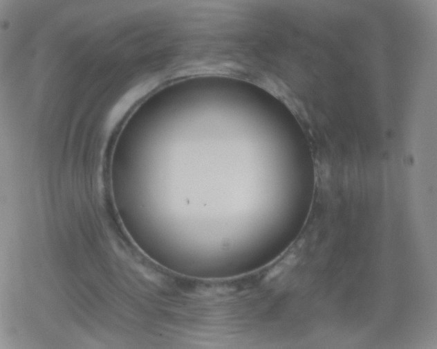 X0000079320340200612081939