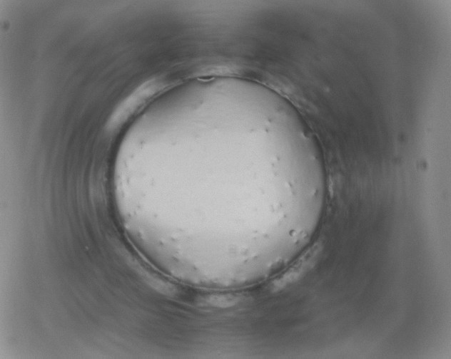 X0000079320341200612081939