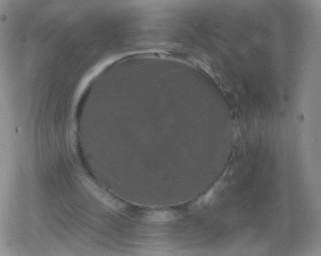 X0000079320342200612081940