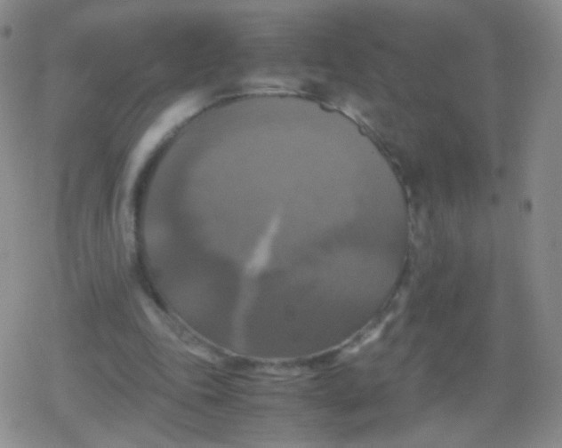 X0000079320343200612081940