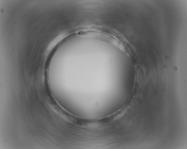 X0000079320344200612081940