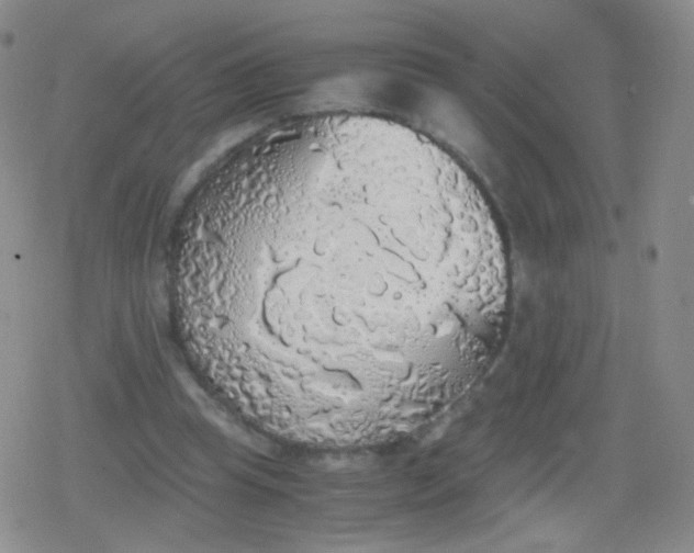 X0000079320345200612081940