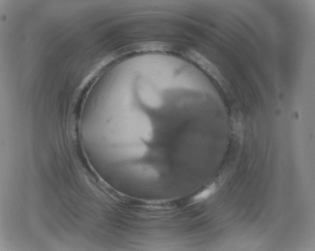 X0000079320347200612081940