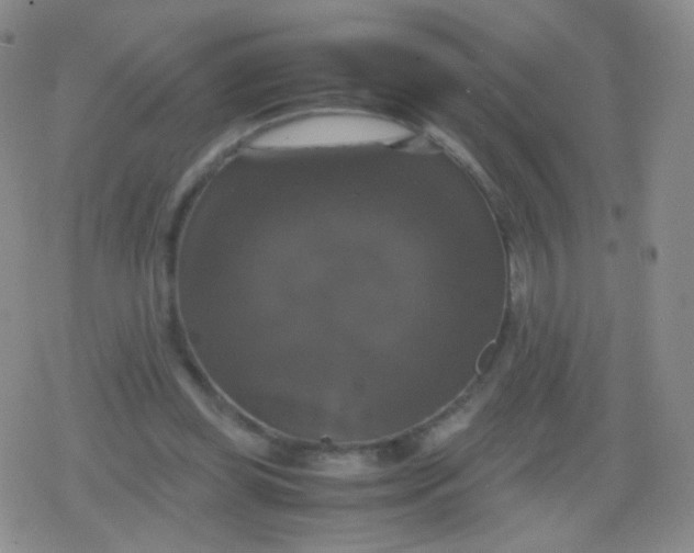 X0000079320349200612081940