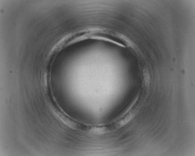 X0000079320350200612081940