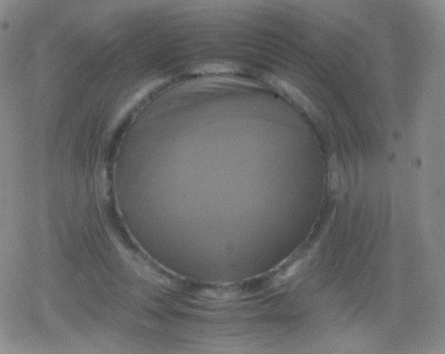 X0000079320351200612081940