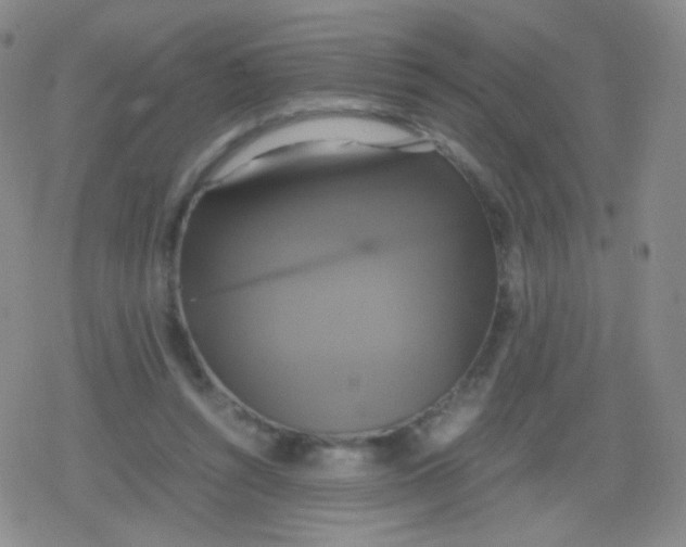 X0000079320352200612081940