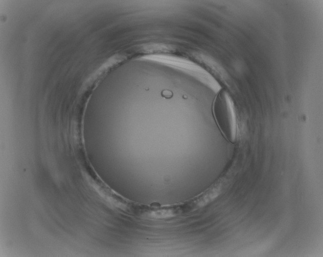 X0000079320353200612081940