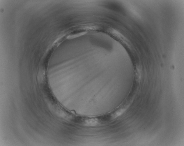 X0000079320355200612081940