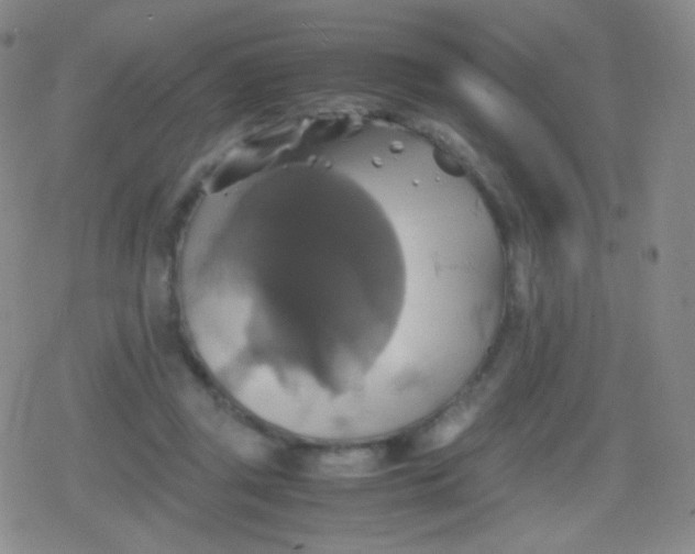 X0000079320357200612081940