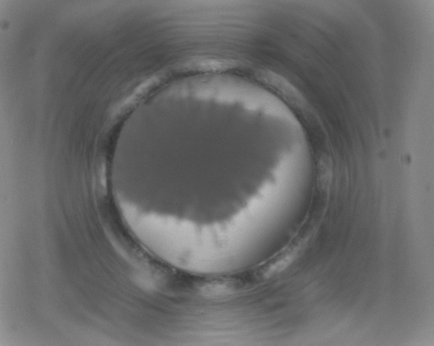 X0000079320358200612081940