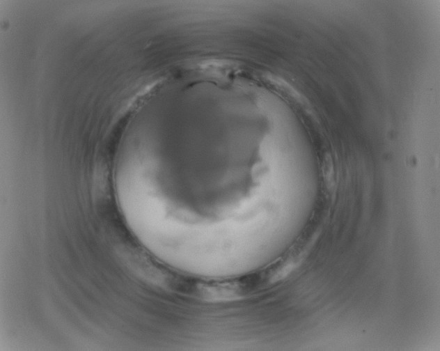 X0000079320359200612081940