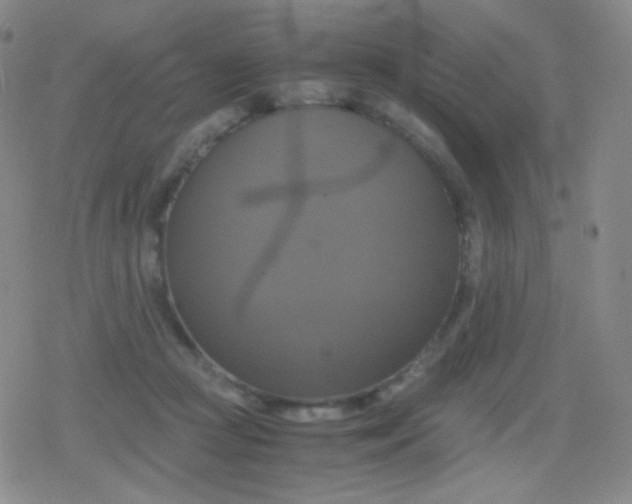 X0000079320361200612081940