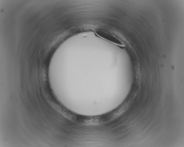 X0000079320362200612081940