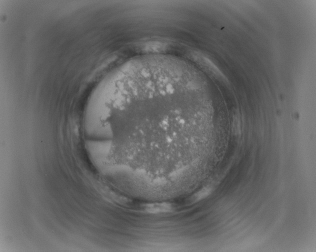 X0000079320363200612081940