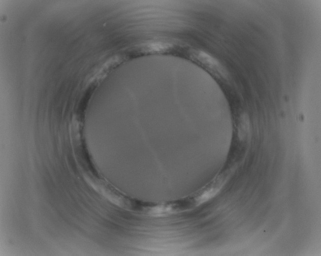 X0000079320366200612081940