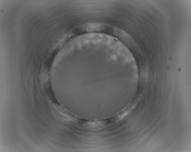 X0000079320367200612081940