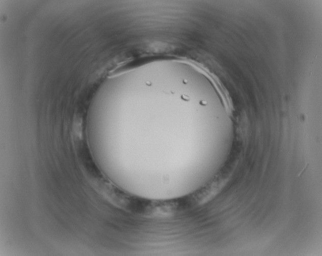 X0000079320368200612081940