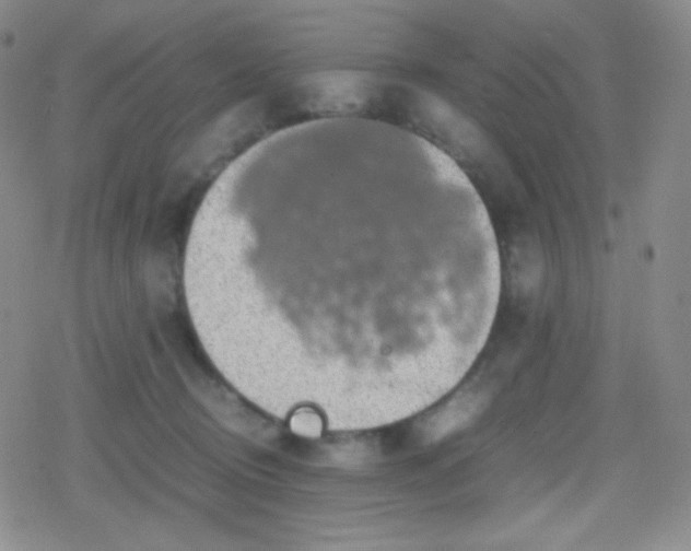 X0000079320370200612081940