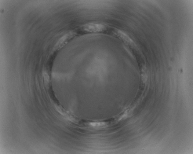 X0000079320371200612081940