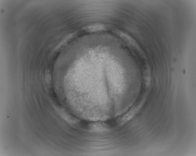 X0000079320372200612081940