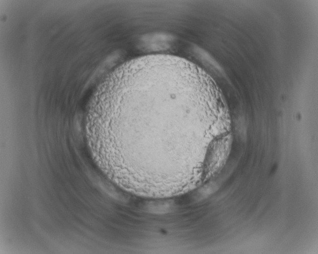 X0000079320373200612081940