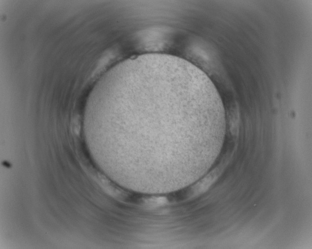 X0000079320374200612081940