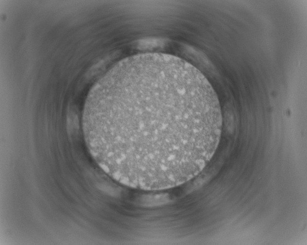 X0000079320375200612081940