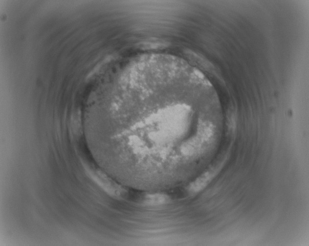 X0000079320376200612081940