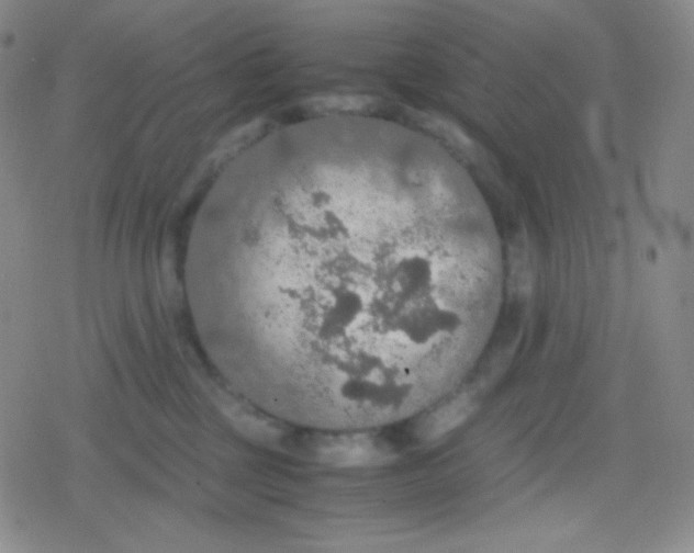 X0000079320377200612081940