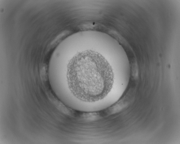 X0000079320378200612081940