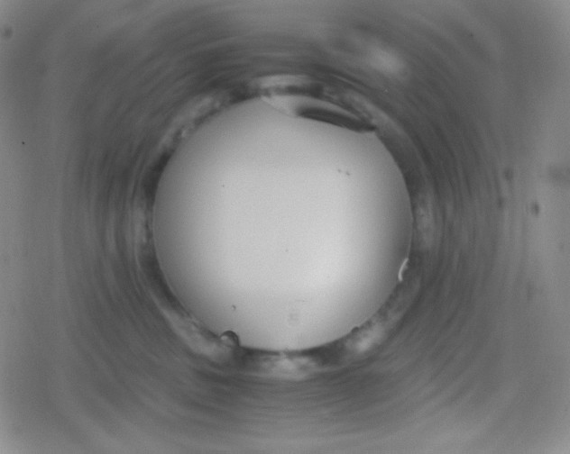 X0000079320379200612081940