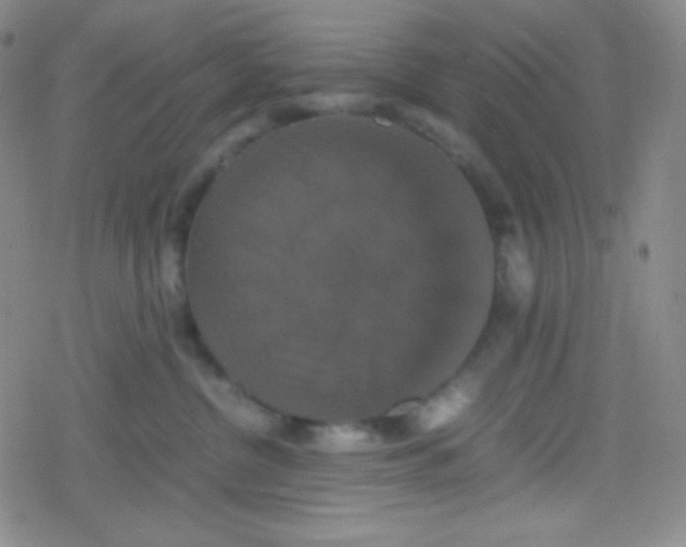 X0000079320380200612081940