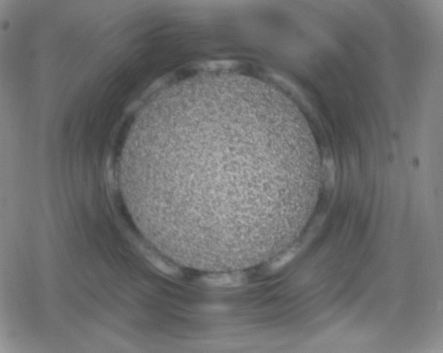 X0000079320381200612081940