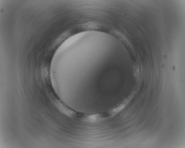 X0000079320382200612081940