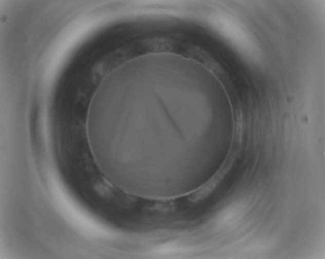 X0000079320383200612081940