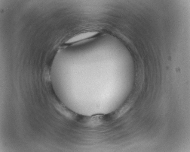 X0000079320384200612081940