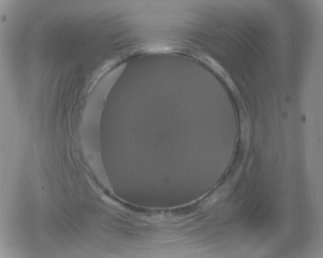 X0000079320385200612081939