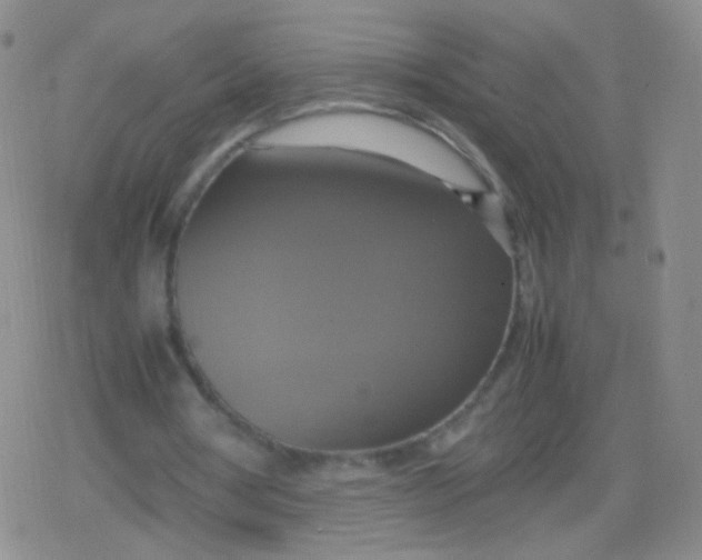 X0000079320386200612081939