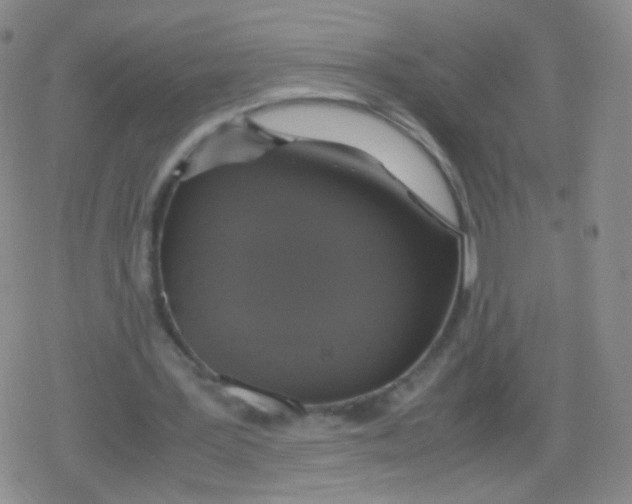 X0000079320387200612081939