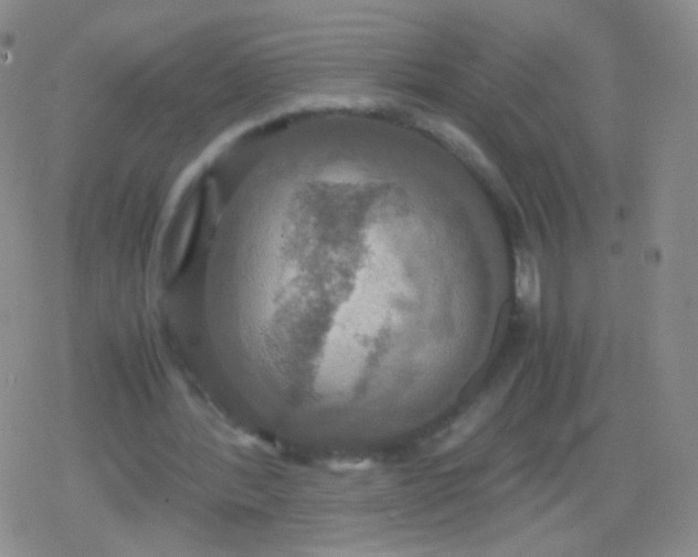 X0000079320388200612081939