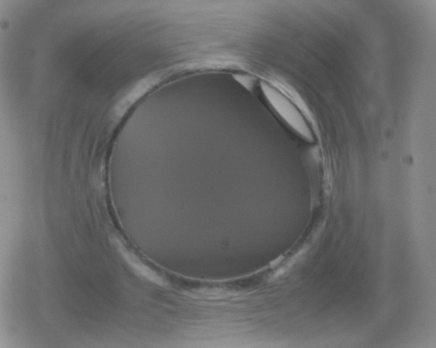 X0000079320389200612081939