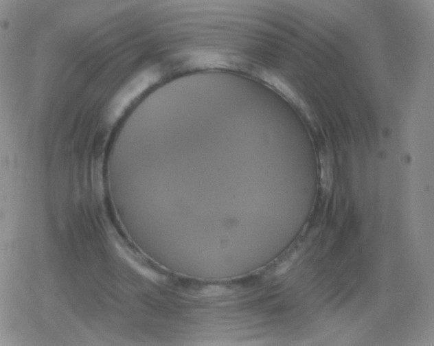 X0000079320390200612081939