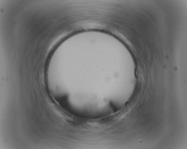 X0000079320391200612081939