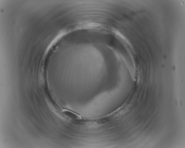 X0000079320392200612081939