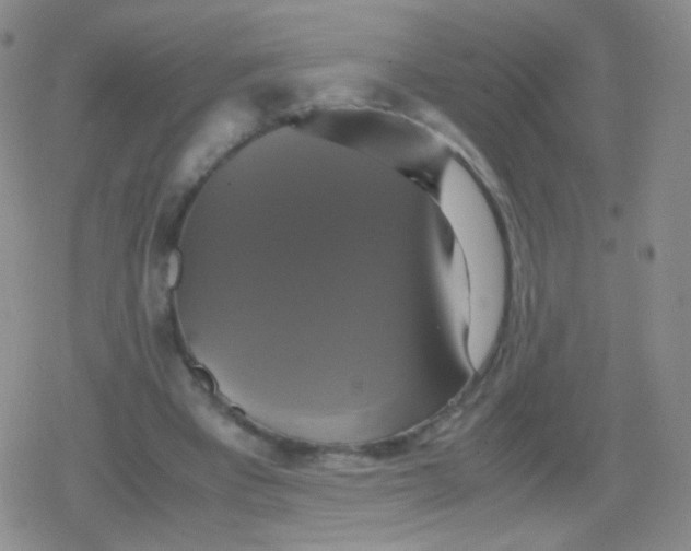 X0000079320393200612081939