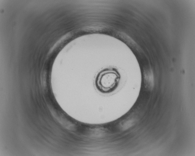 X0000079320396200612081939