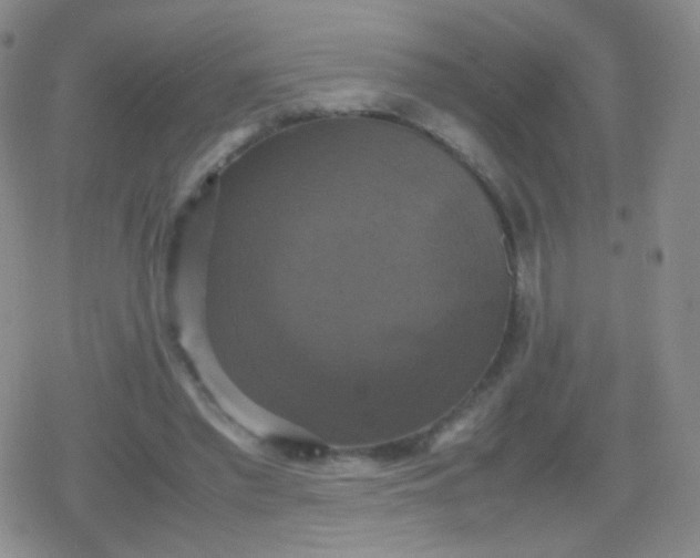 X0000079320397200612081939