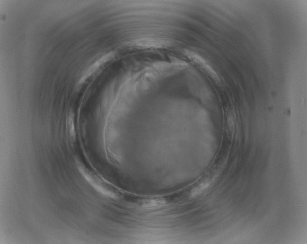 X0000079320398200612081939