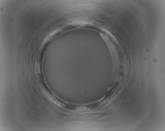 X0000079320399200612081939